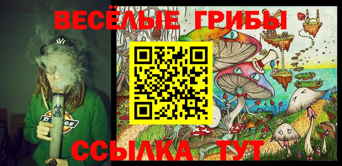 Галлюциногенные грибы Майский